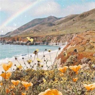 星空体育app下载