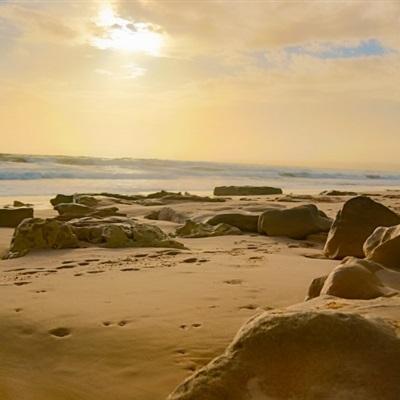 江南体育手机app下载