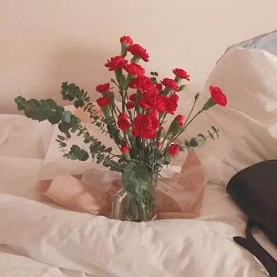 B体育手机版在线app下载截图