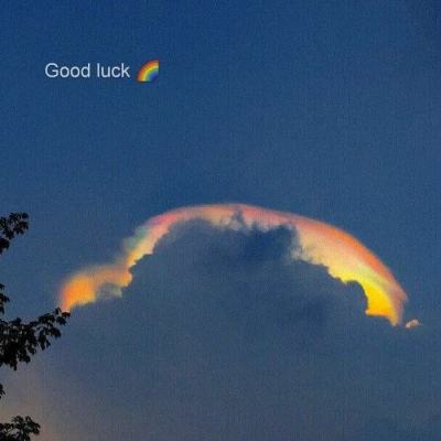 开元ky888vipapp下载