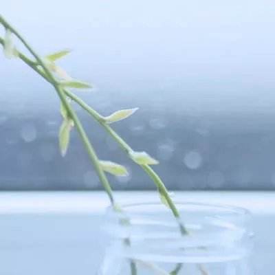 天下彩网站下载手机版